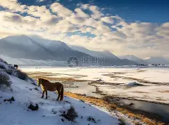 爱游戏登录入口 - 雪域鲸鲨队鏖战中原黑豹队，足球大师赛读秒绝平，转换速度占优。门前嗅觉决定胜负