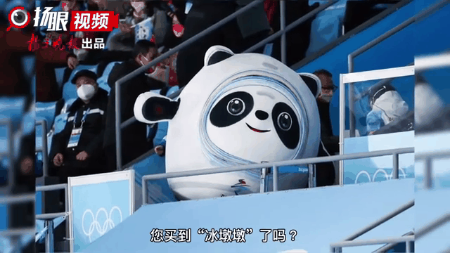  青岛国信水产vs浙江稠州金租 